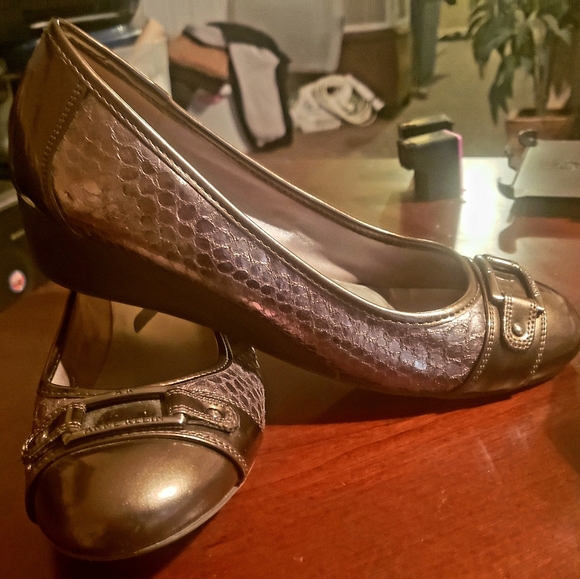 Anne Klein Shoes - COPY - Ann Klien Sport ballet shoes